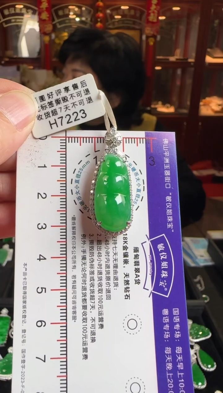 颈饰未镶嵌翡翠H7223冰绿富贵豆