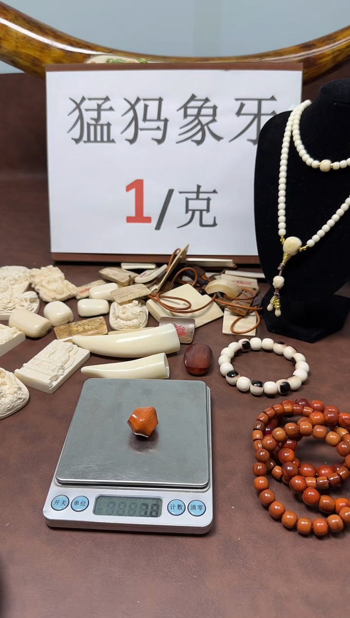 猛犸鲨鱼背三通***6号