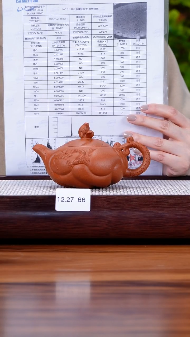 茶壶紫砂娜****空12.27-66 大红泥  鱼化龙