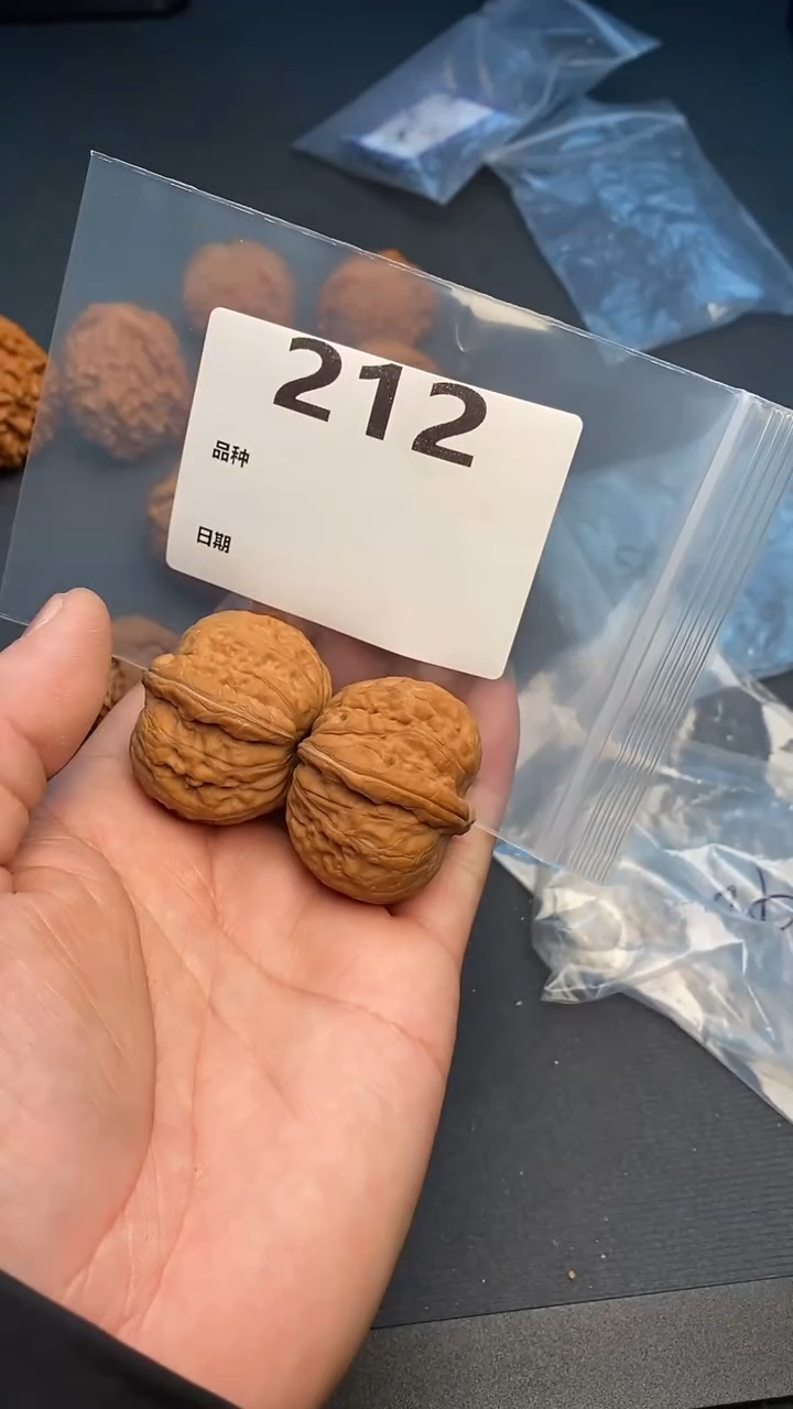 【闪购商品】文玩核桃吊坠212号40+全品元宝