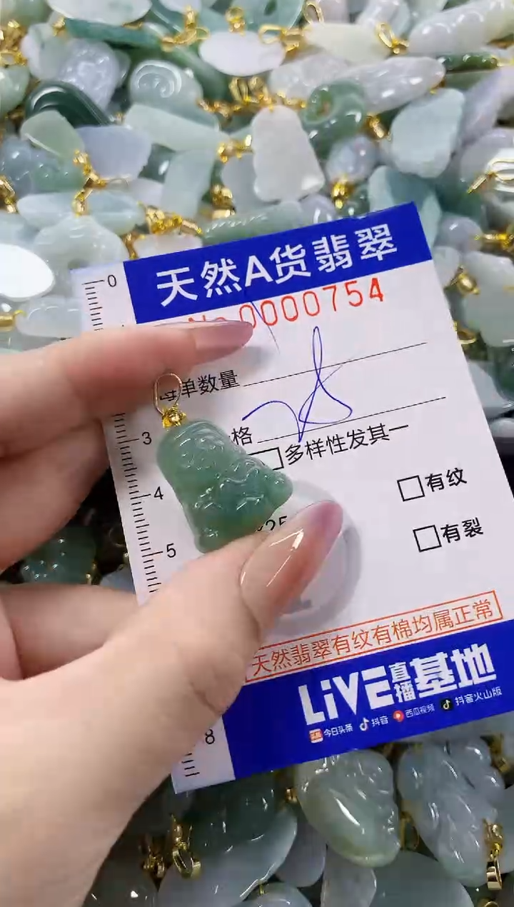 颈饰未镶嵌翡翠天然A货翡翠