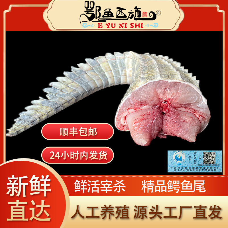 鄂鱼西施新鲜现杀鳄鱼整条尾巴人工养殖鳄鱼肉可烧烤火锅顺丰包邮