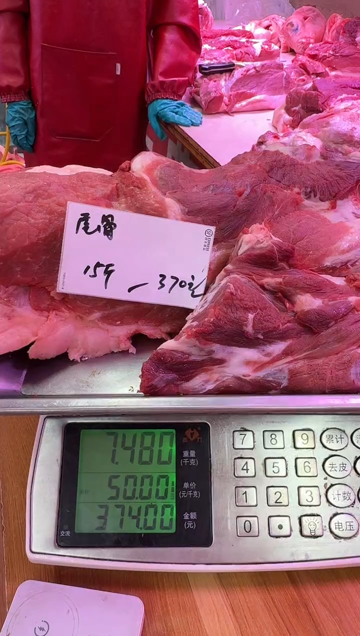 中国大陆尾骨15斤