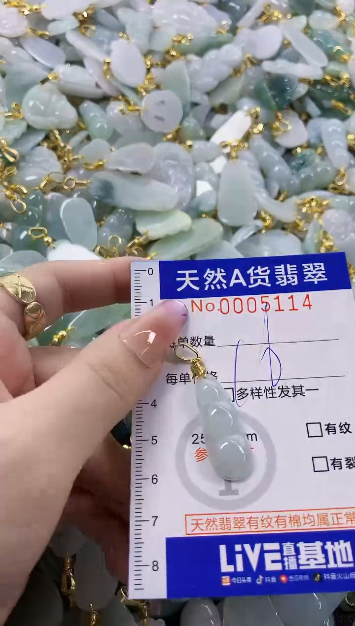 颈饰未镶嵌翡翠天然A货翡翠