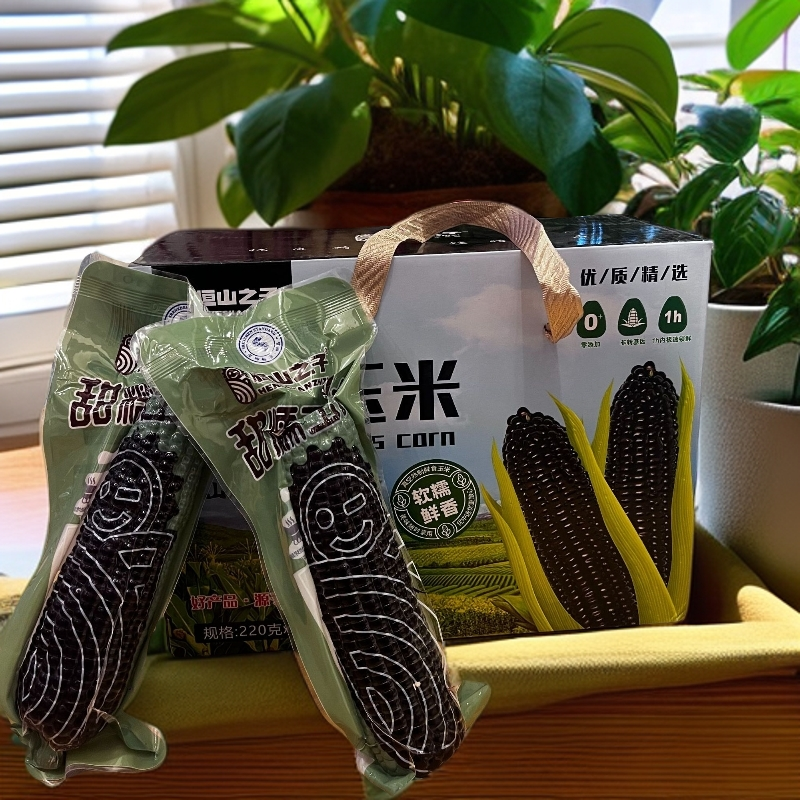 恒山之子  黑糯玉米软糯鲜香220g*8穗 