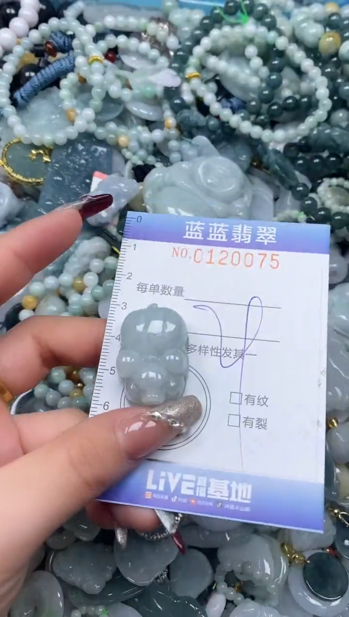 【闪购商品】翡翠颈饰未镶嵌闪购0120075