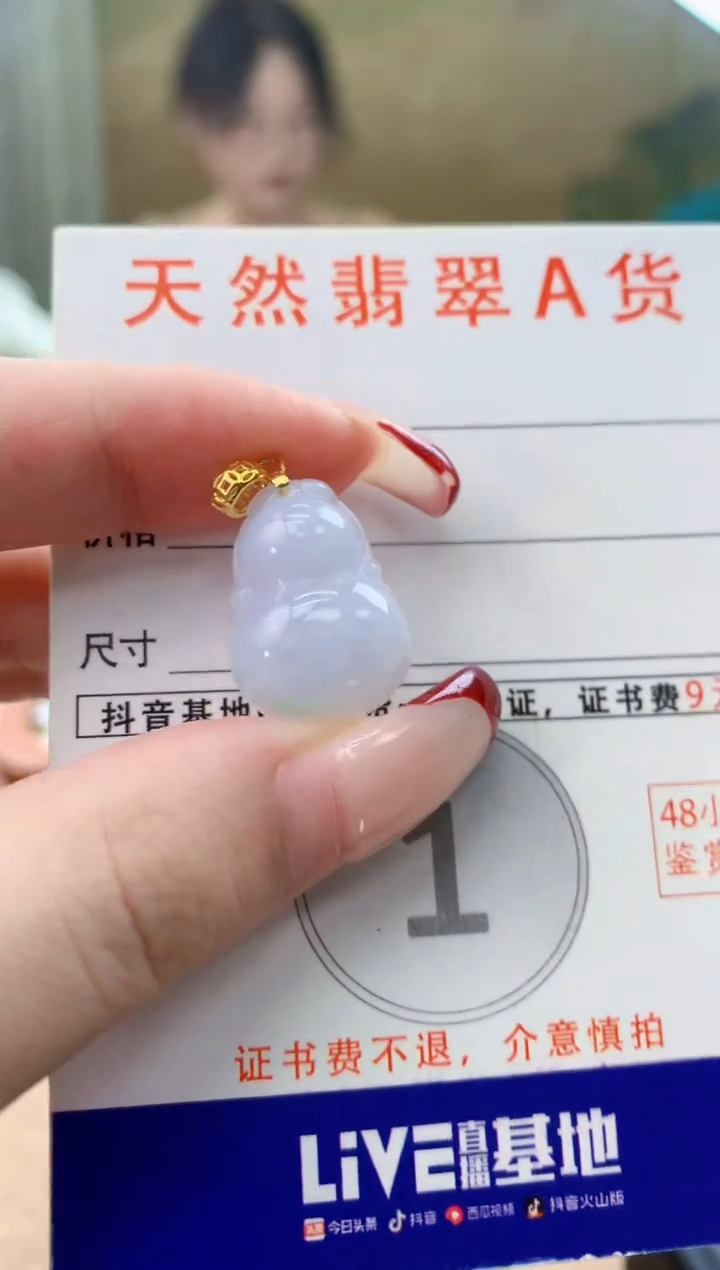 颈饰未镶嵌翡翠天然A货翡翠挂件