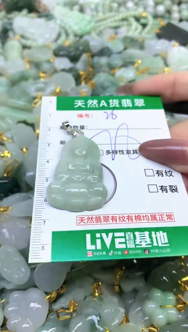 颈饰未镶嵌翡翠纯天然缅甸A货翡翠