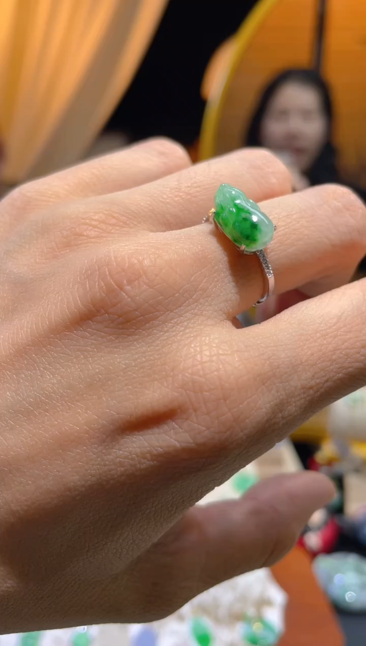 【闪购商品】翡翠颈饰未镶嵌假一赔三