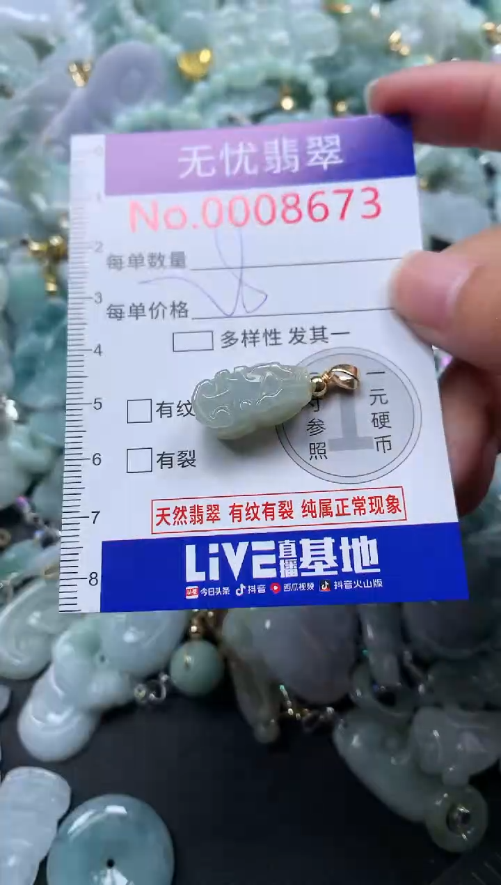 颈饰未镶嵌翡翠8673