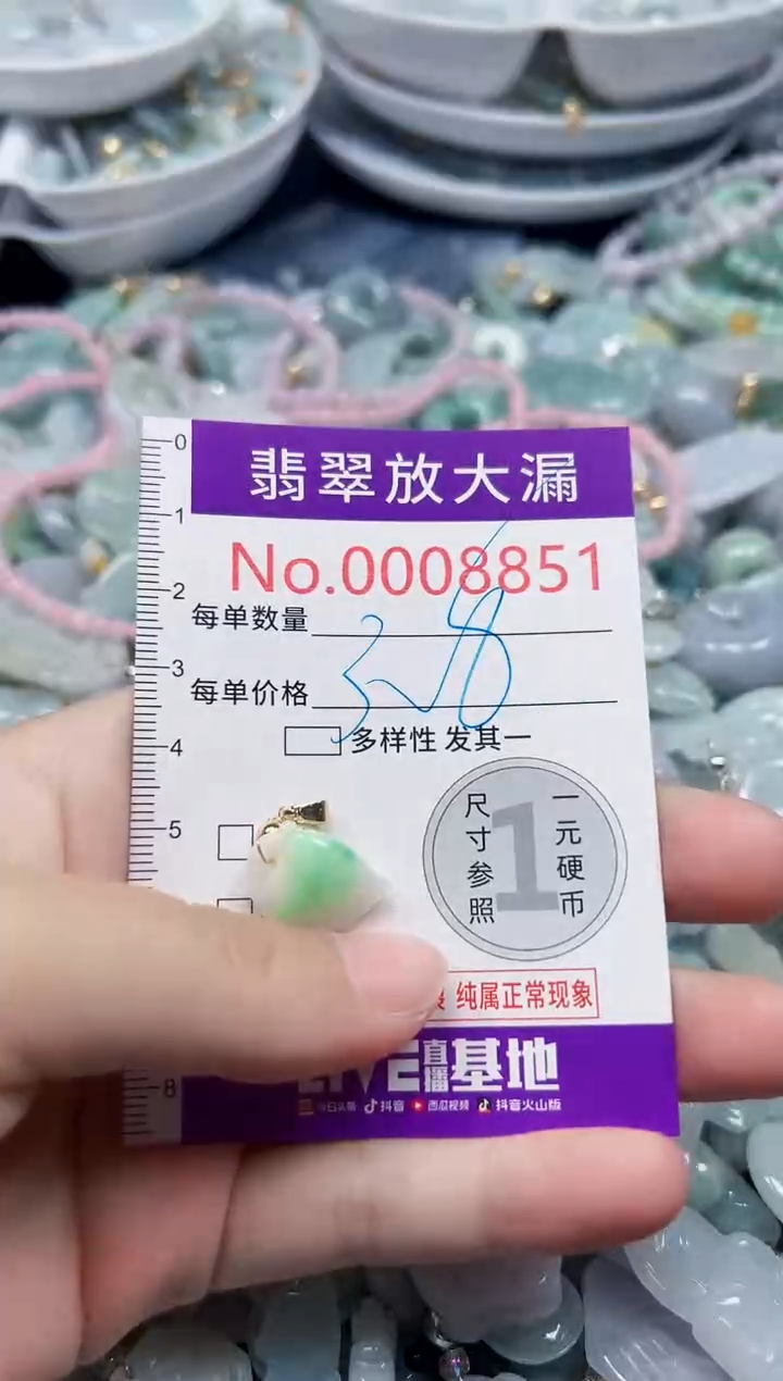 颈饰未镶嵌翡翠8851