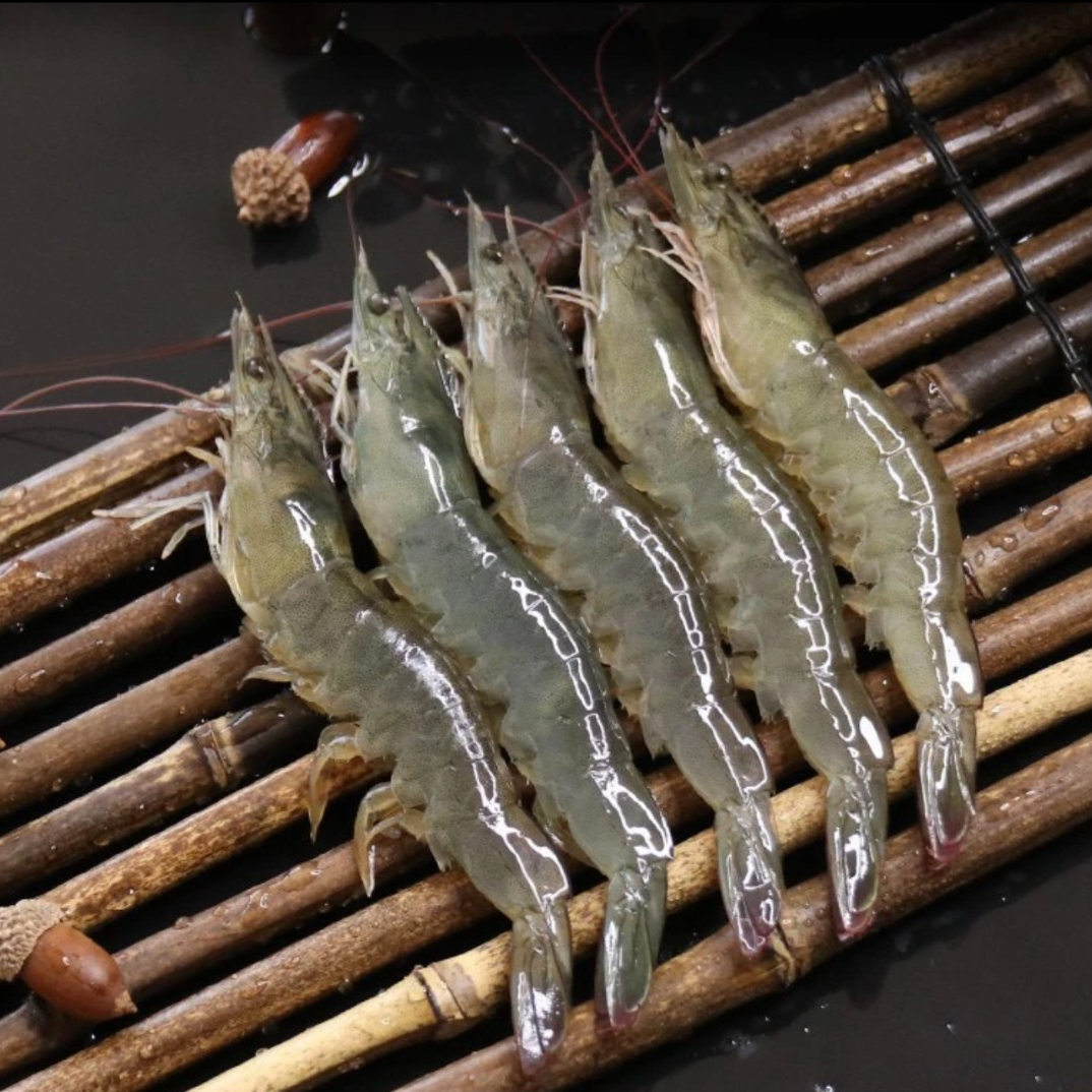 海捕野生小白虾海毛虾 一斤50-60只左右500G/盒*5盒【介意小慎拍】
