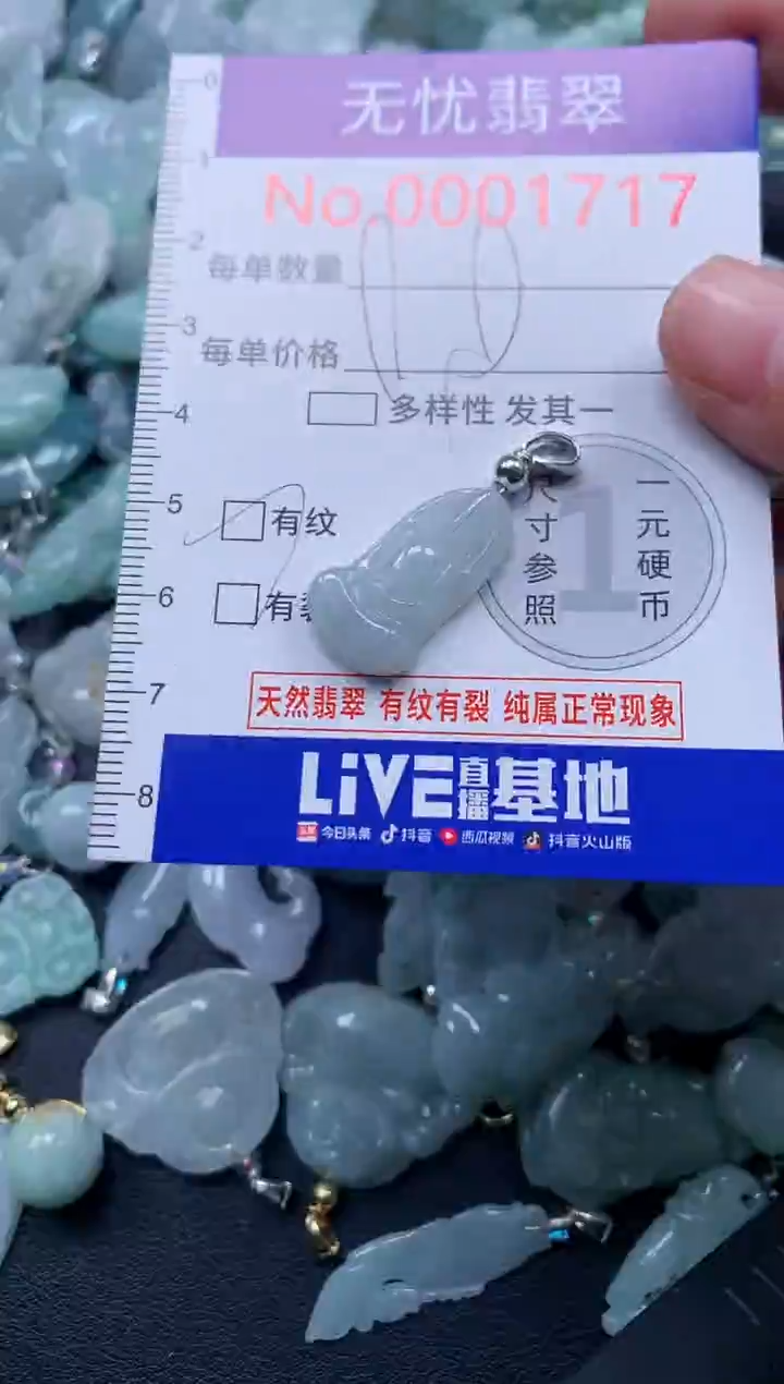 颈饰未镶嵌翡翠1717