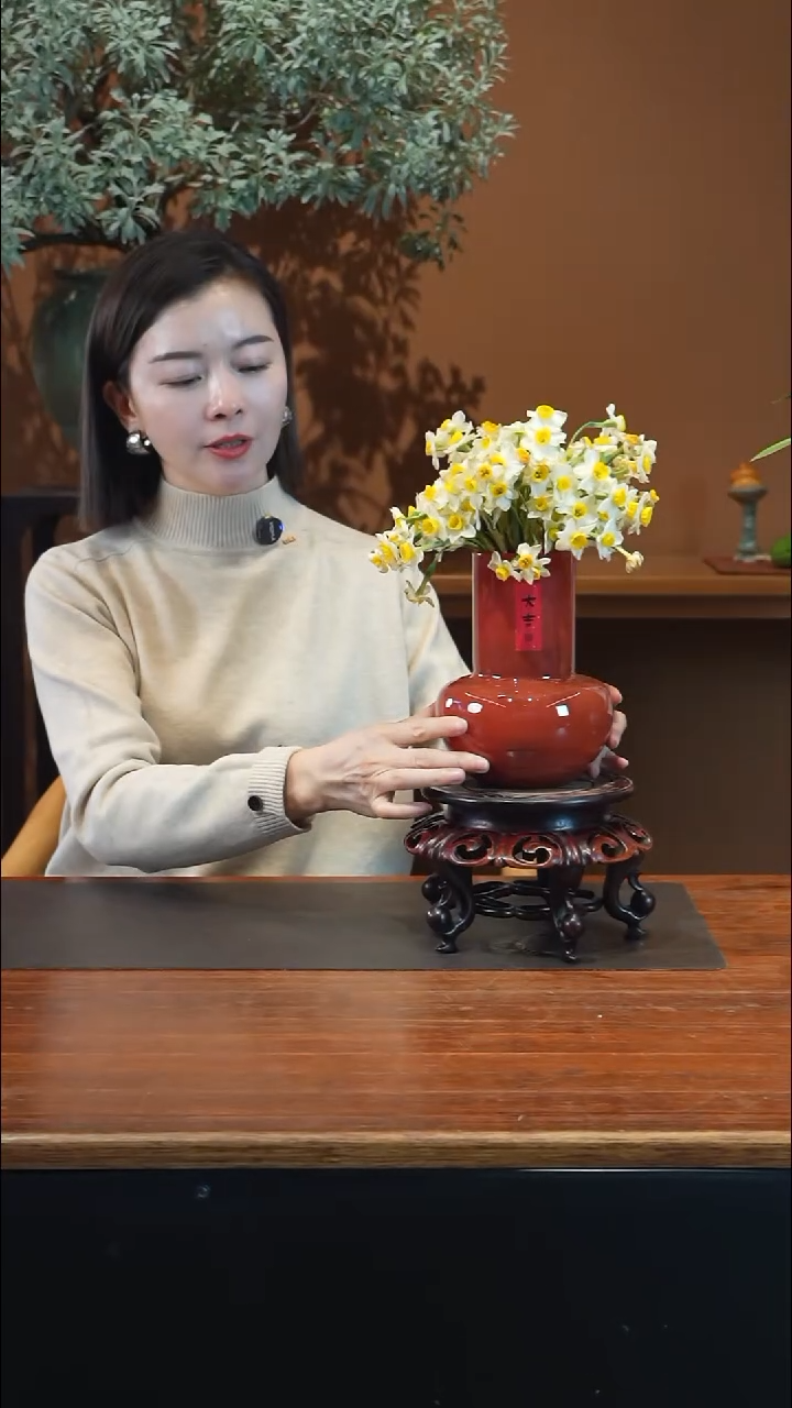 全部花朵水仙花盆景盆景