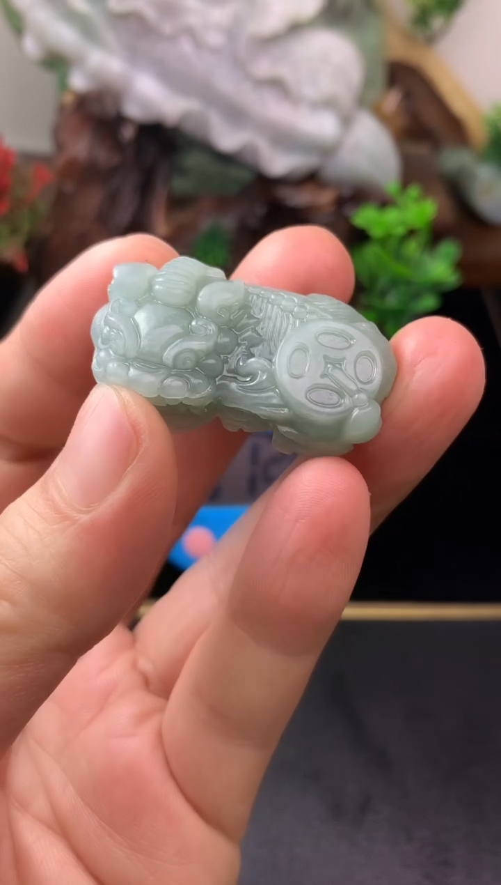 颈饰未镶嵌翡翠L****?貔貅