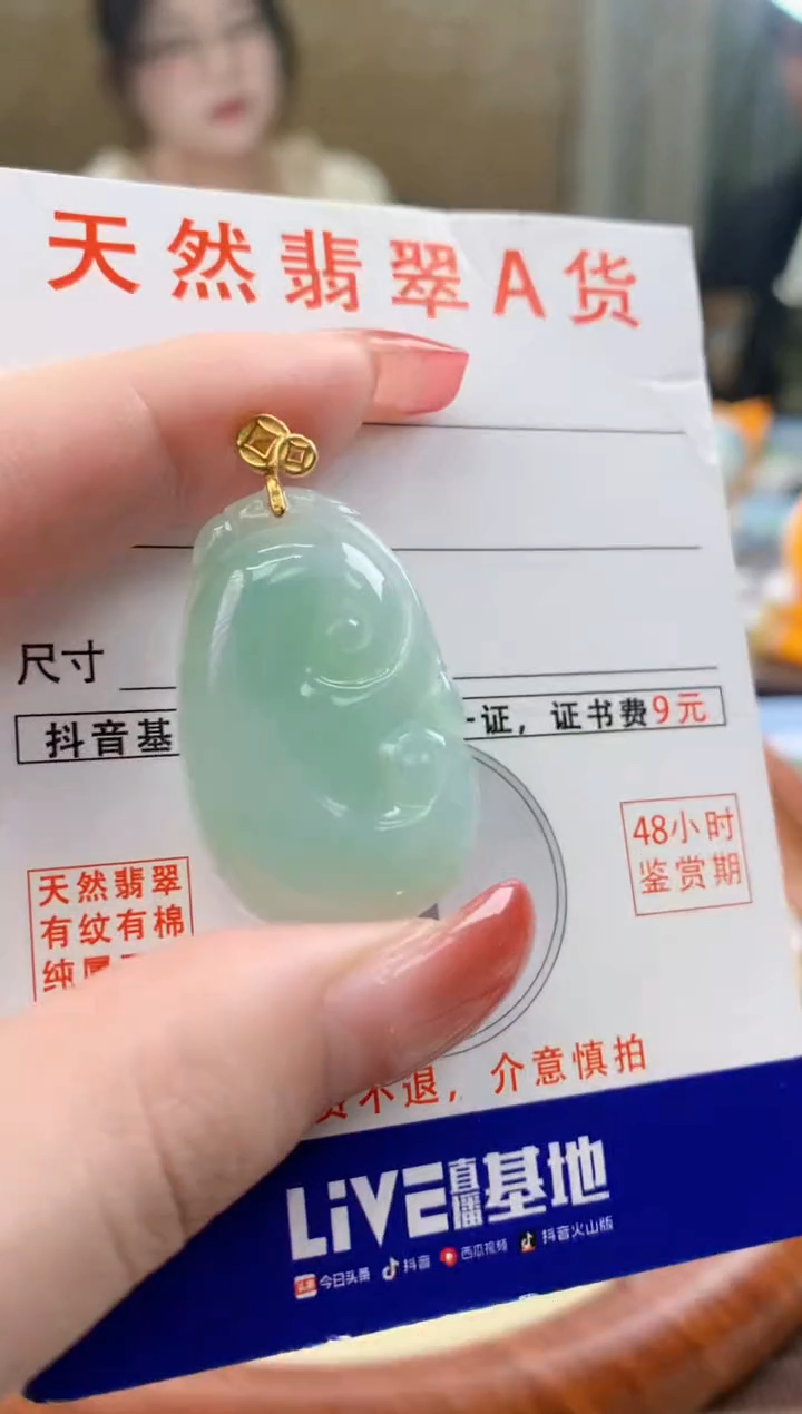 颈饰未镶嵌翡翠天然A货翡翠挂件