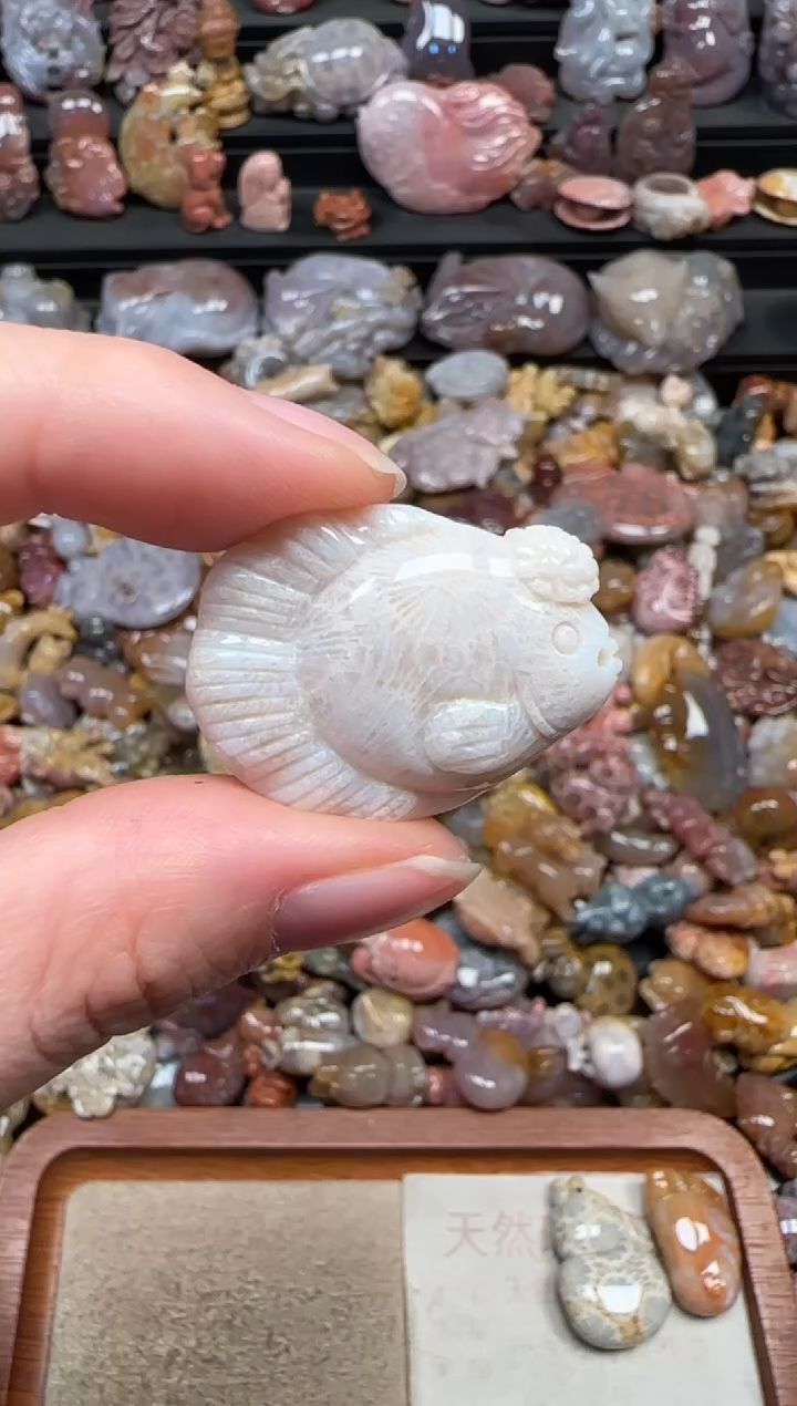 颈饰未镶嵌硅化珊瑚（珊瑚玉）679