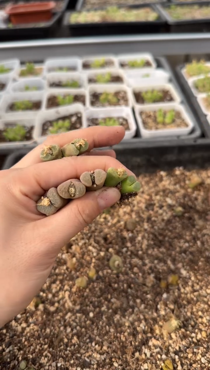 【闪购商品】14-15