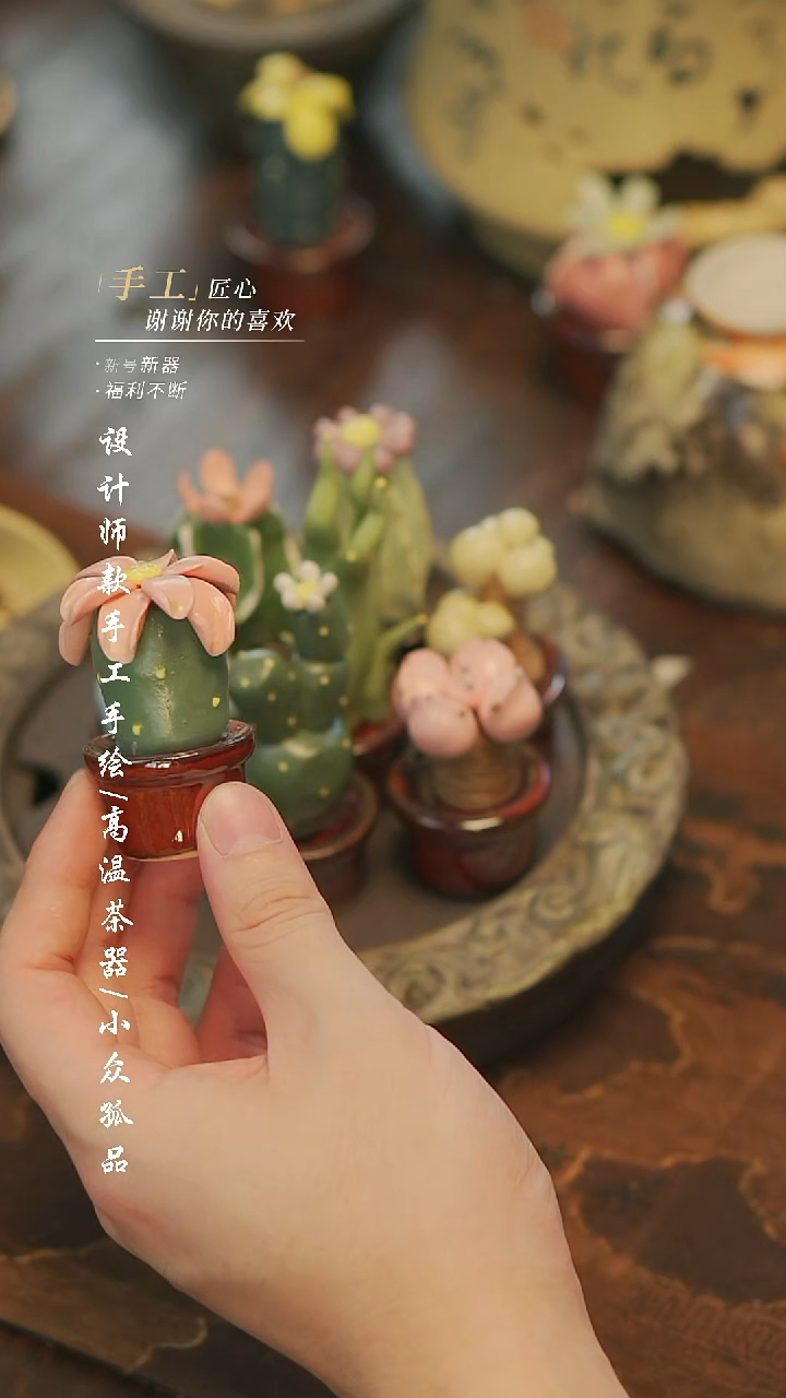 742多肉随机发【溯本】瓷片***瓷片