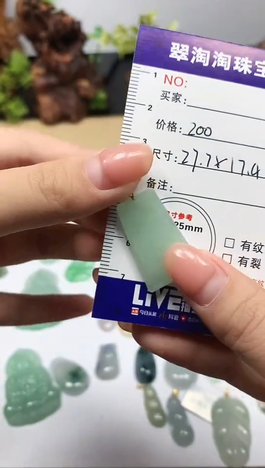 【闪购商品】翡翠颈饰未镶嵌无事牌