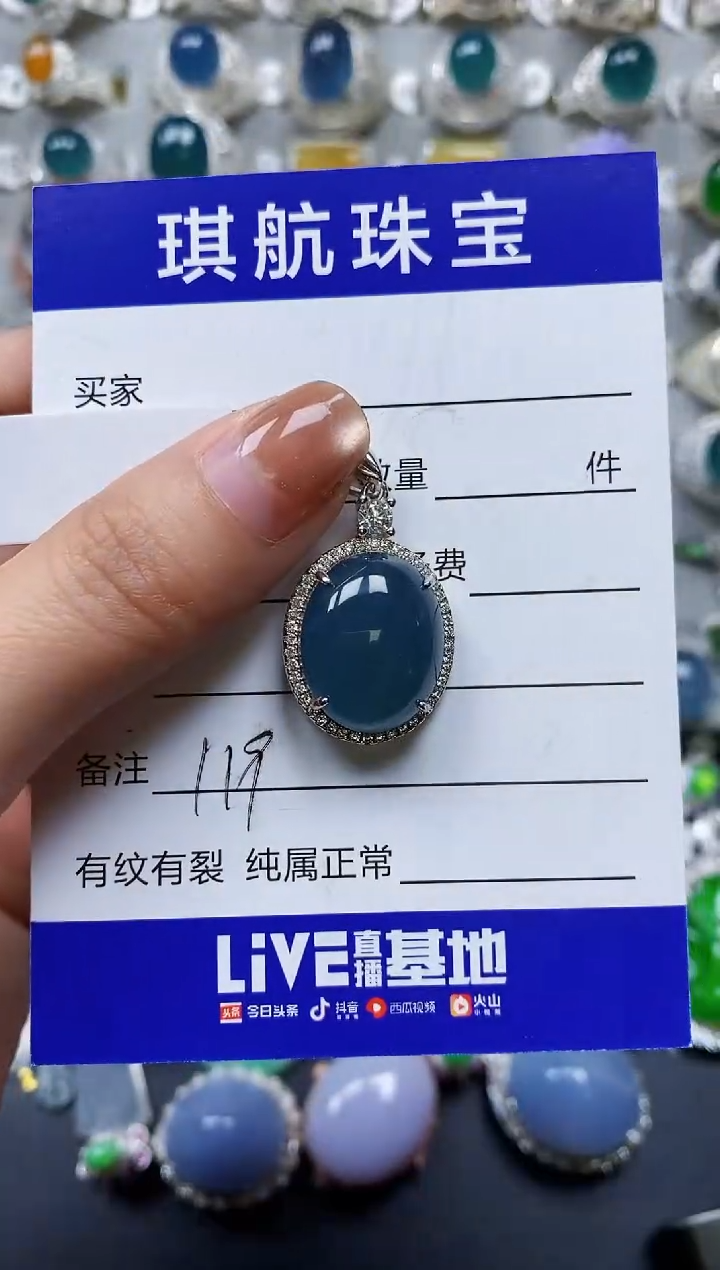 【闪购商品】翡翠颈饰银S925镶嵌0119