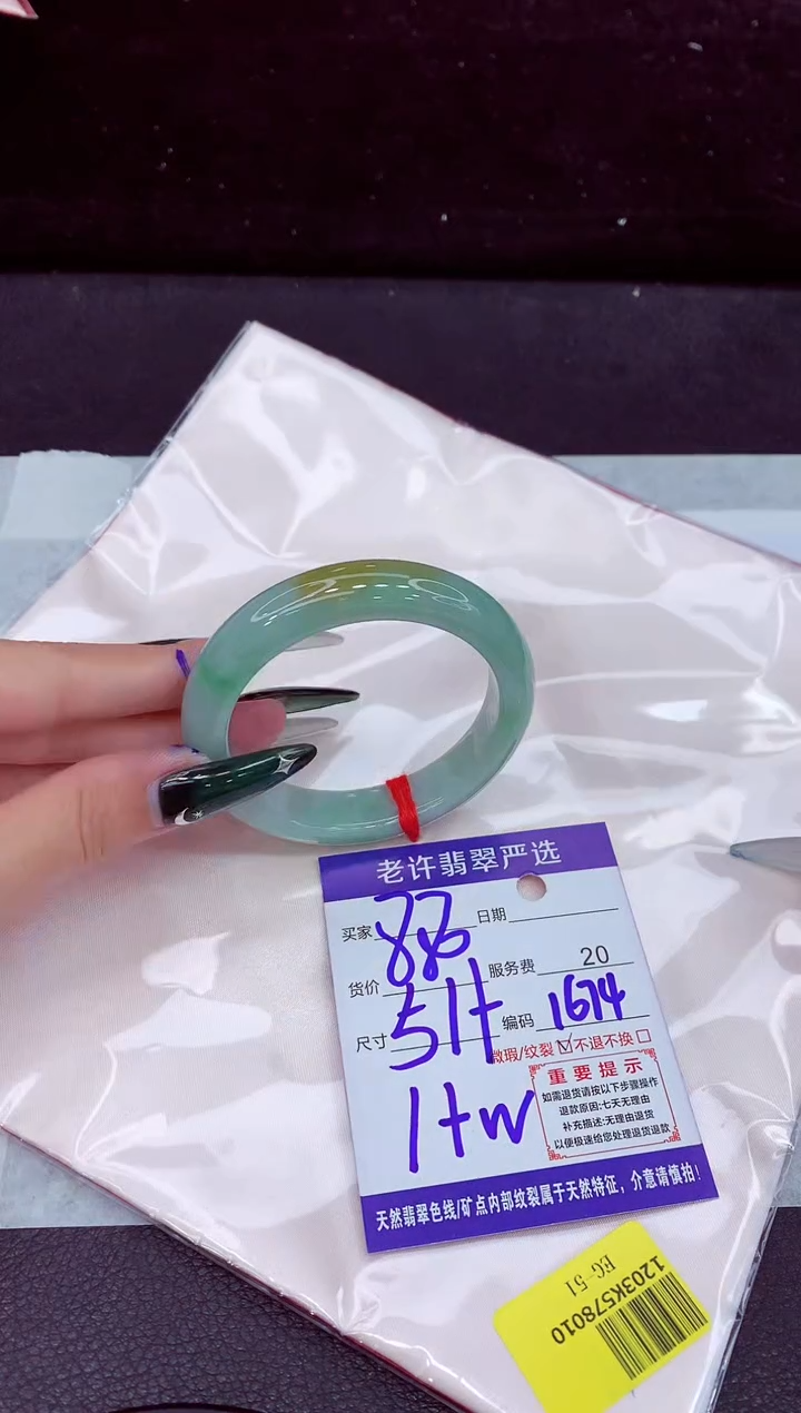 未镶嵌手镯翡翠1
