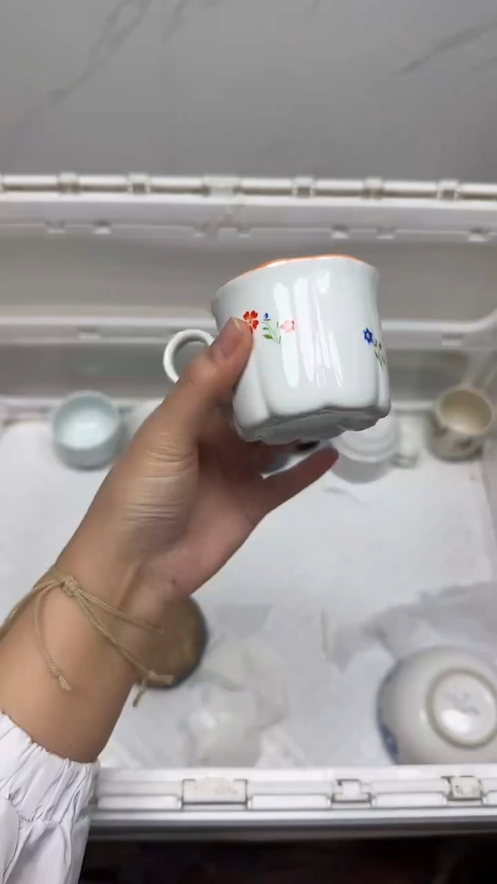 【闪购商品】475回流瓷器默认微瑕，18.8包邮