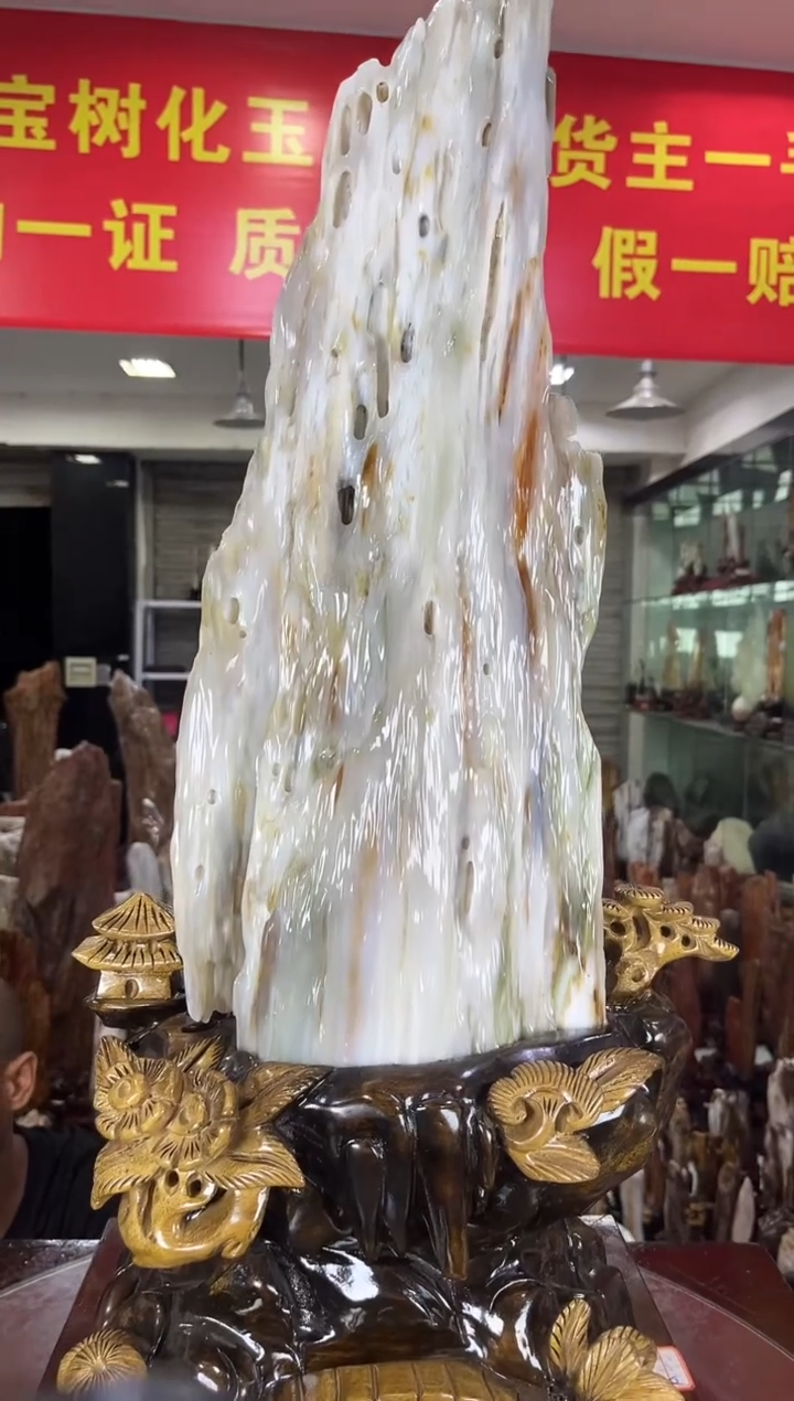 硅化玉珠宝奇石未镶嵌缅甸天然树化玉