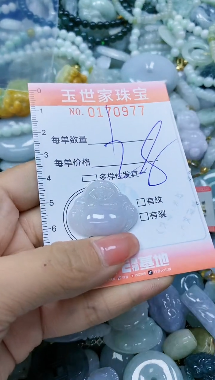 【闪购商品】翡翠颈饰未镶嵌闪购0170977