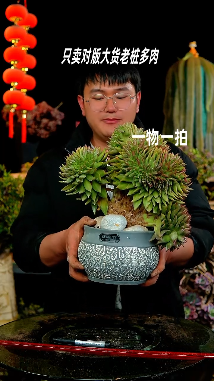 【闪购商品】233号超大宝贝坠化东云