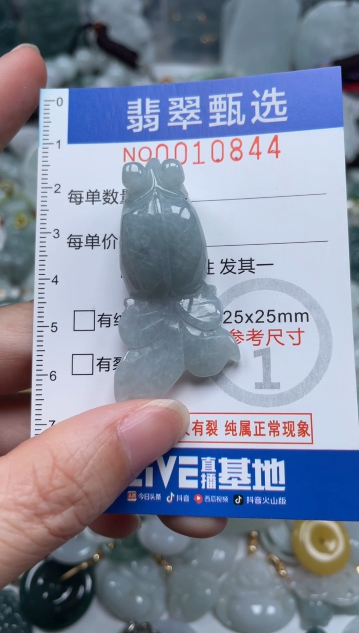 颈饰未镶嵌翡翠10844