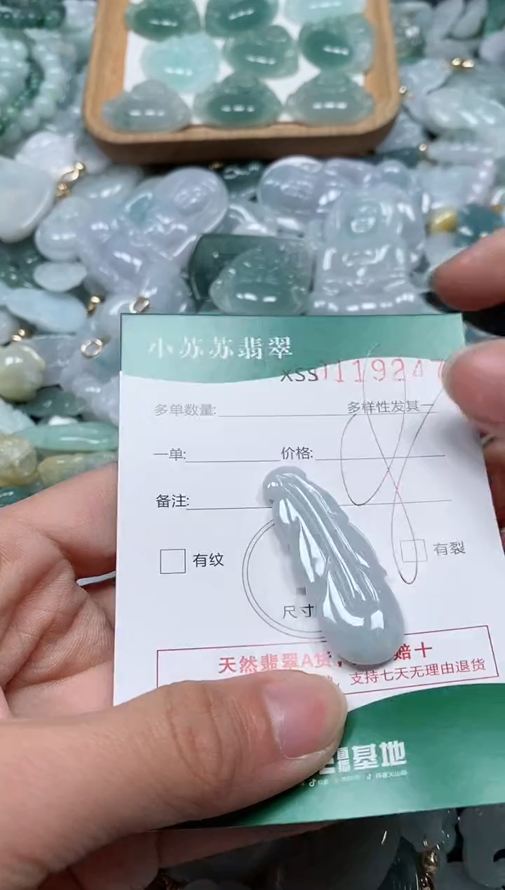 【闪购商品】翡翠颈饰未镶嵌闪购商品0119247