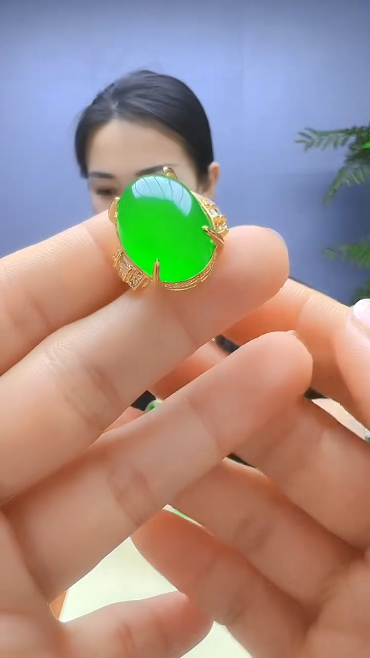 【闪购商品】翡翠颈饰14K金镶嵌颈饰