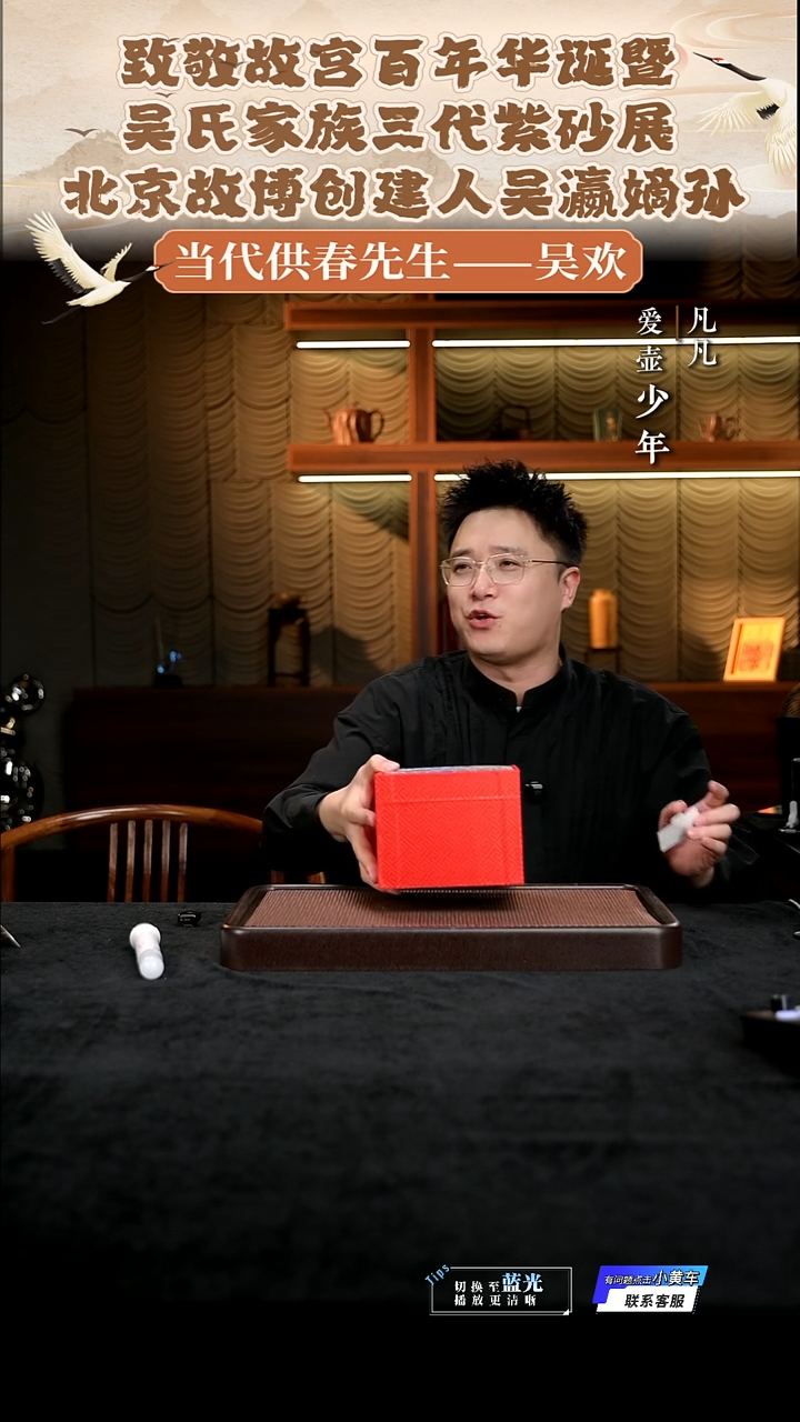 茶壶紫砂凡凡会客厅紫砂壶09