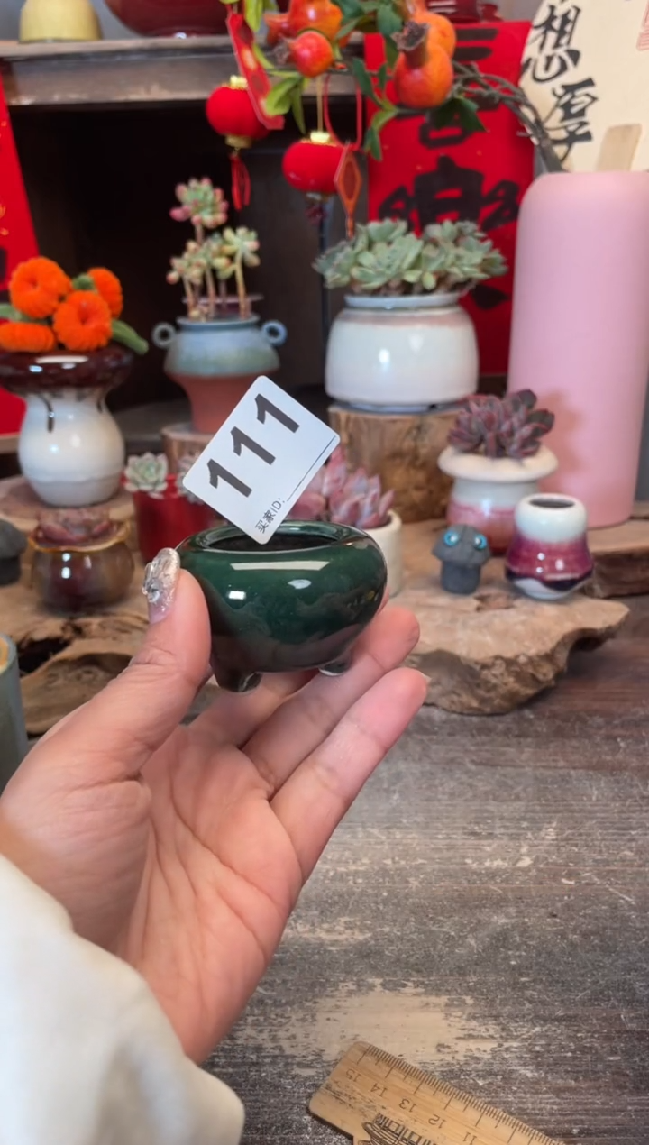 【闪购商品】摆件111知木小芳花盆