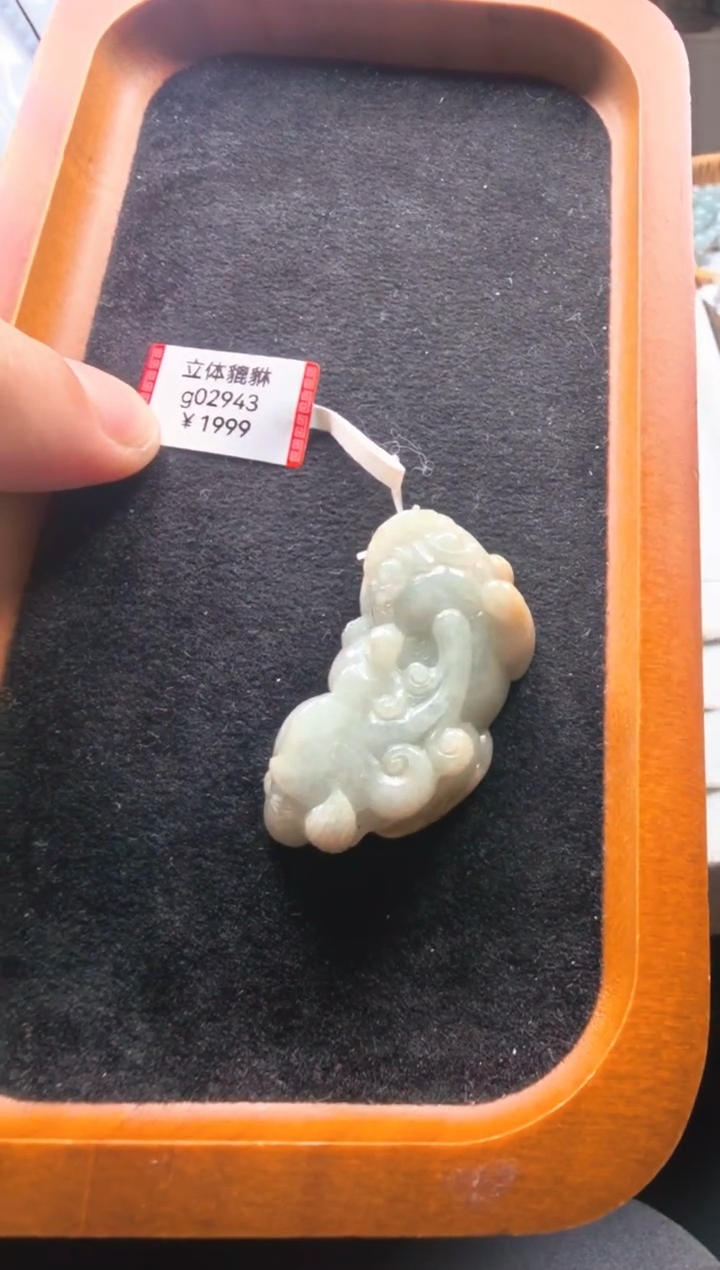 颈饰未镶嵌翡翠g02943-貔貅