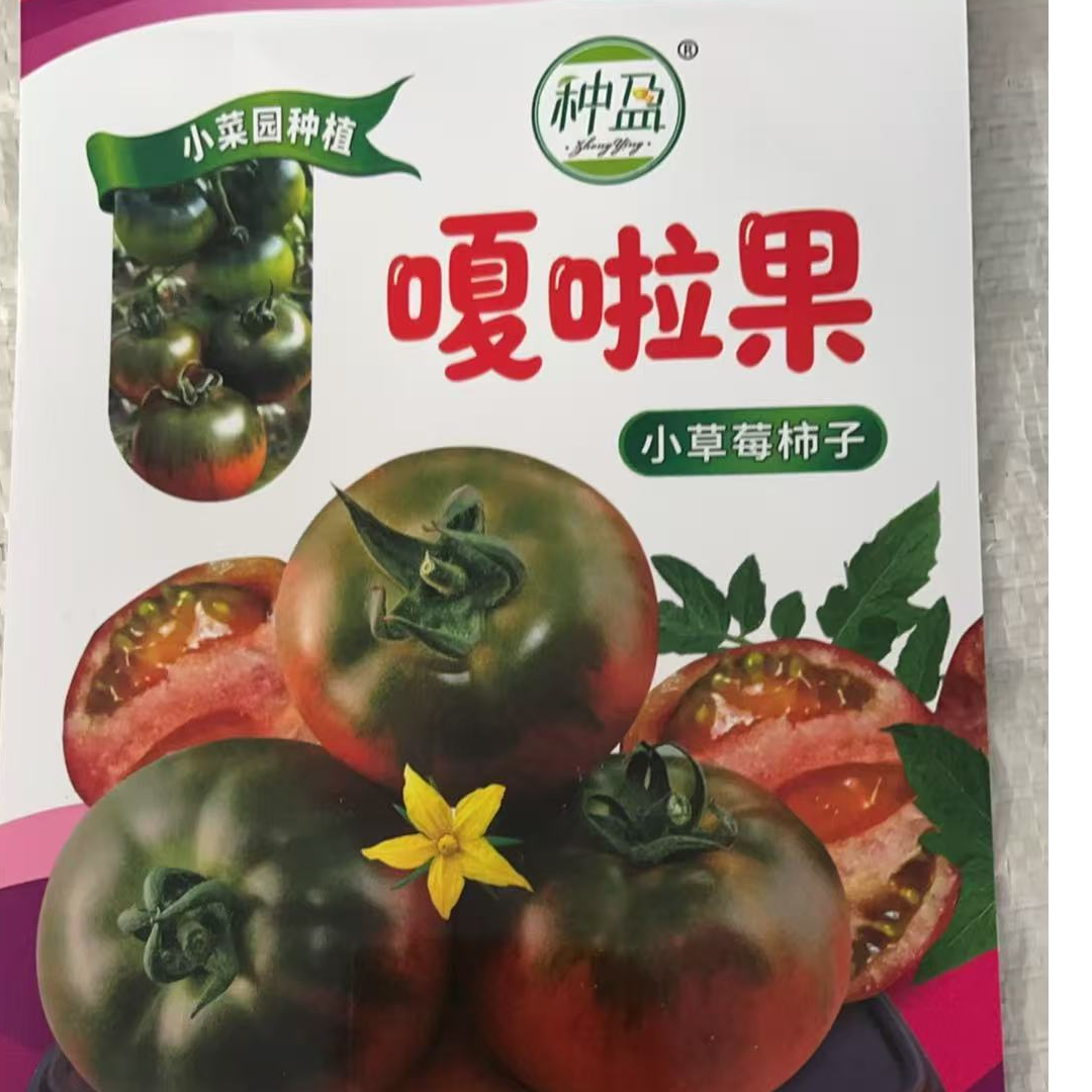 小菜园种植嘎啦果草莓柿子