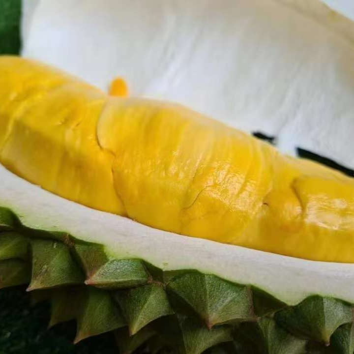 【一物一拍】泰国青尼王鲜榴莲 核大肉香 粘糯丝滑 味道浓郁重口味1斤起榴莲同城送青尼泰国