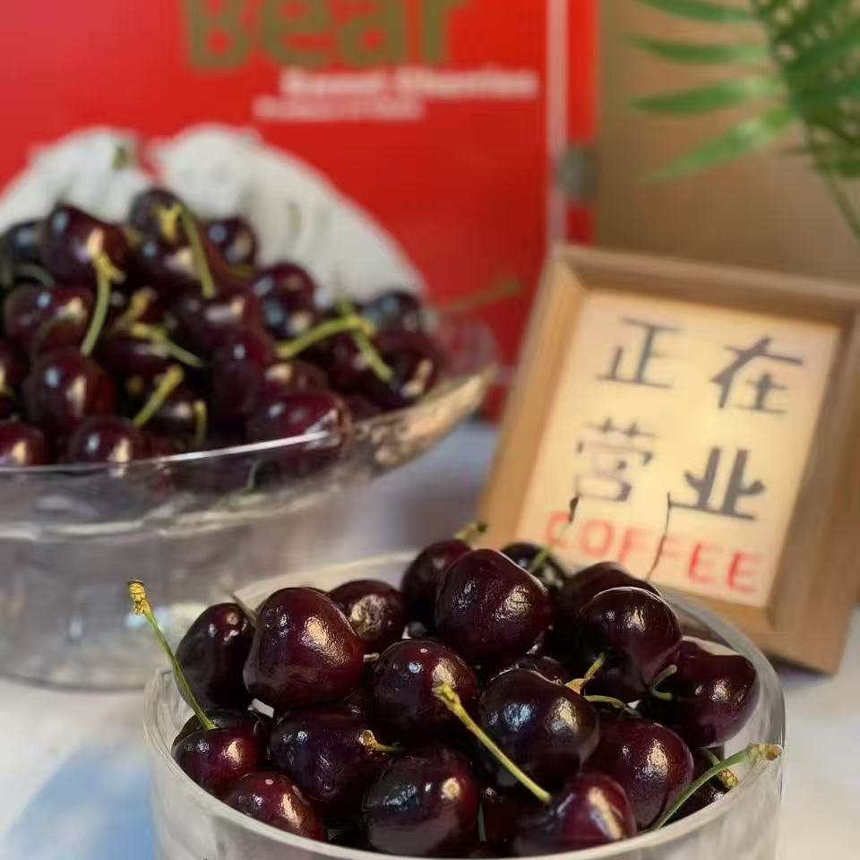 贵阳同城送1-4JD海运智利进口车厘子桑提娜净重5斤桑提娜贵州省