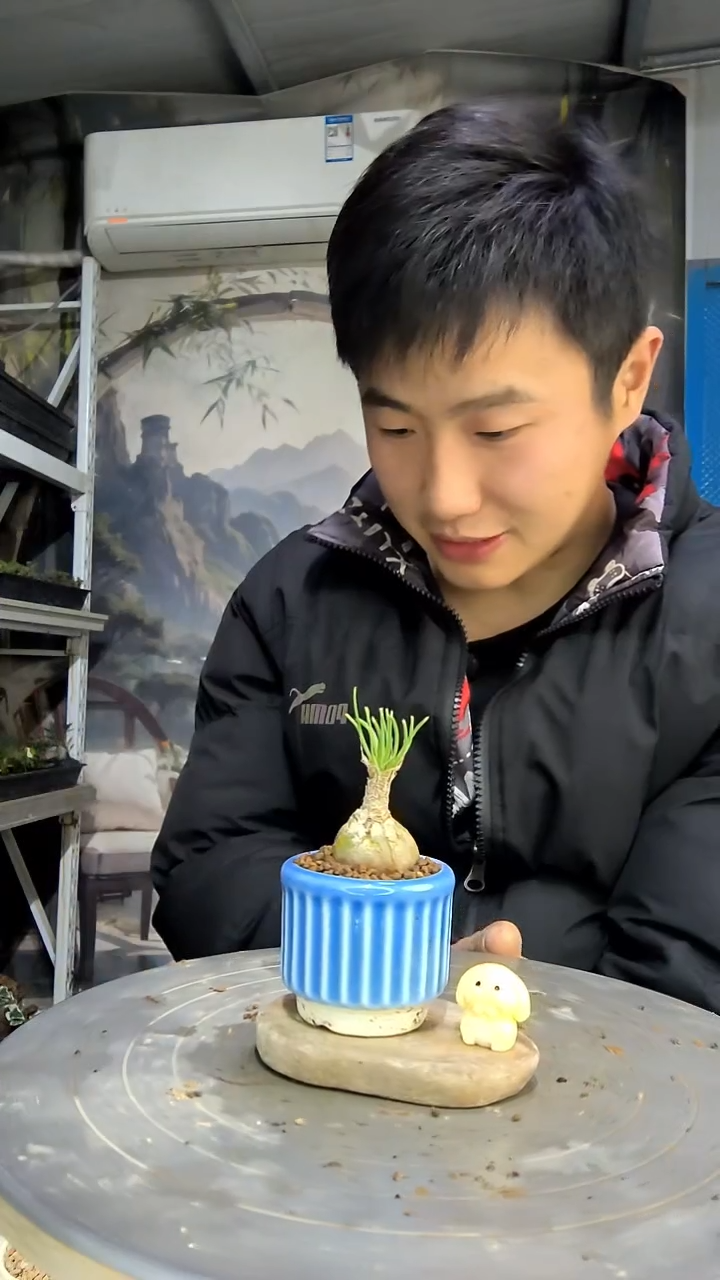 歪***y中青园艺一物一拍花12