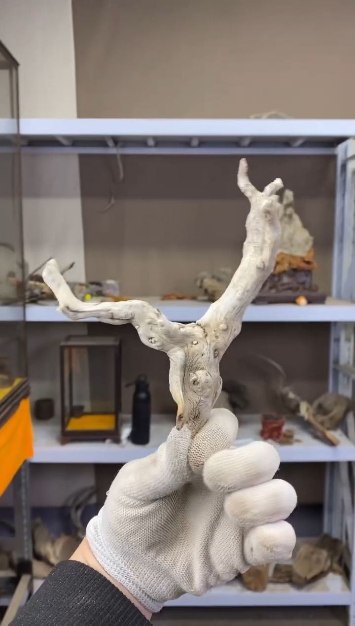 山*工胖胖崖柏精品摆件 山水工