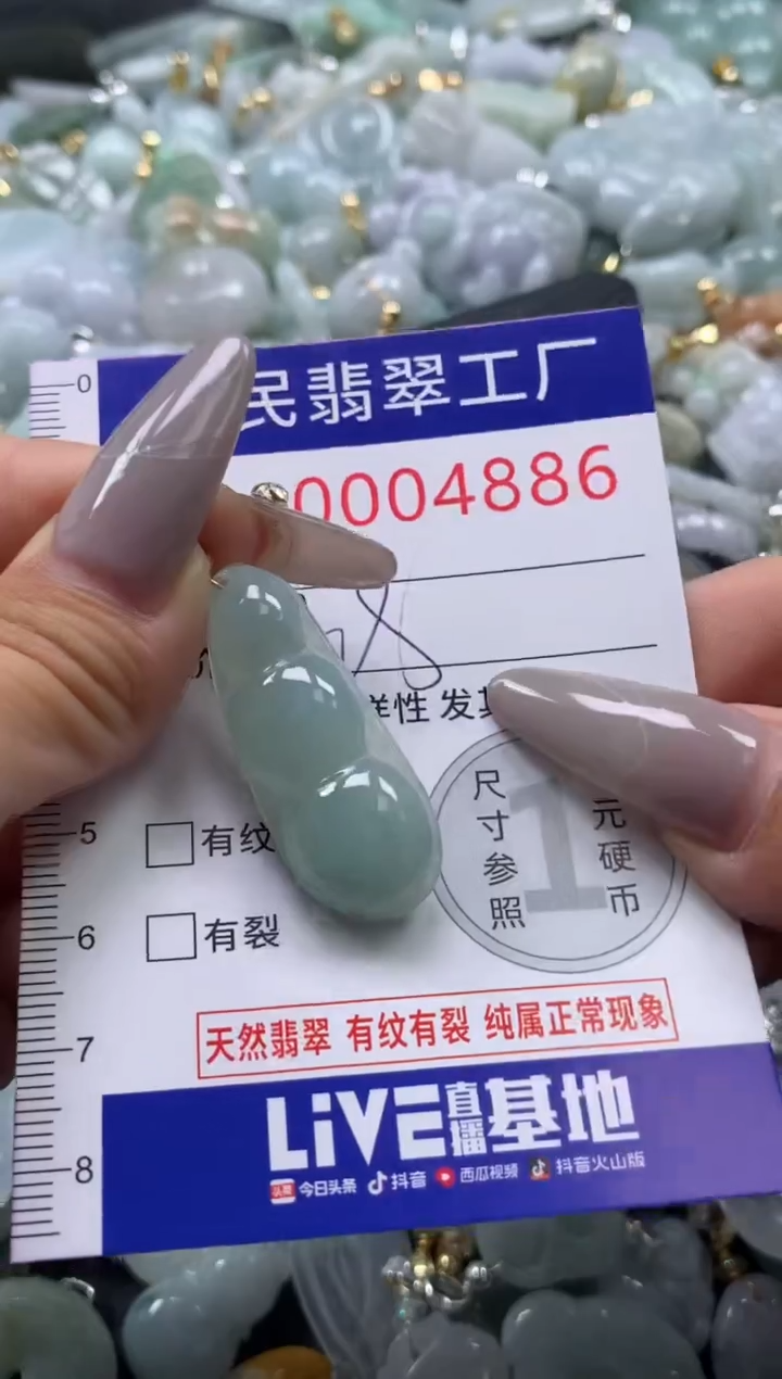 颈饰未镶嵌翡翠4886