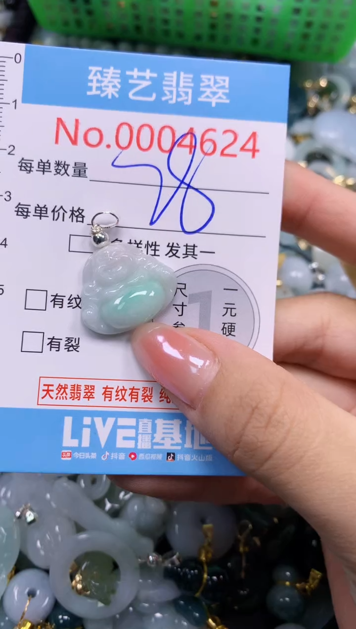 颈饰未镶嵌翡翠4624