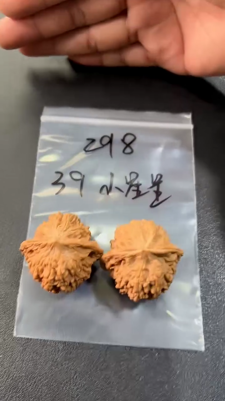 把件文玩核桃39满天星