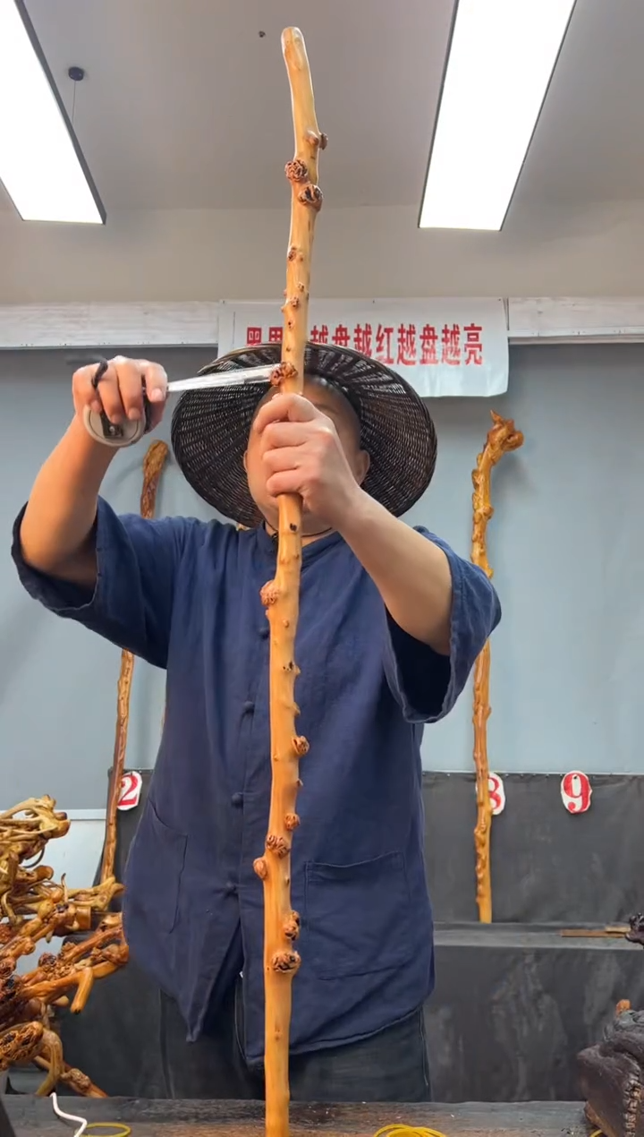【闪购商品】黑果木其他黑果木586