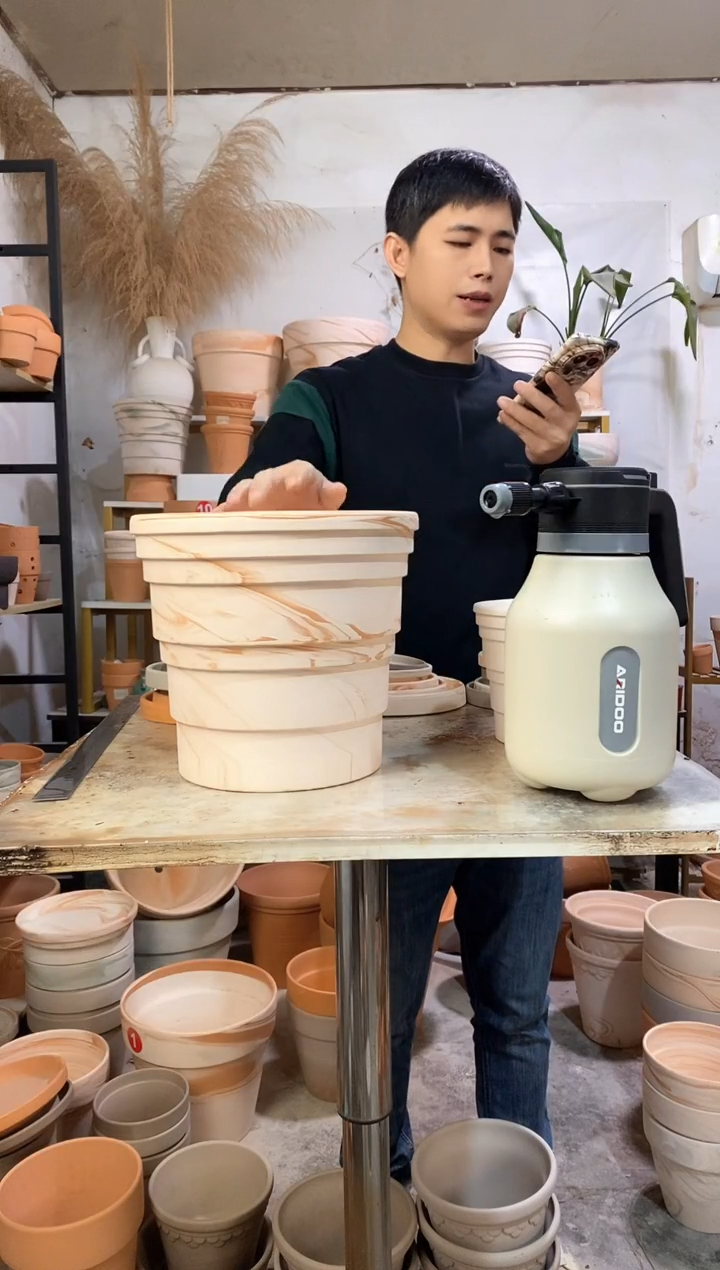 25*23玛奇朵竹节 1盆无托