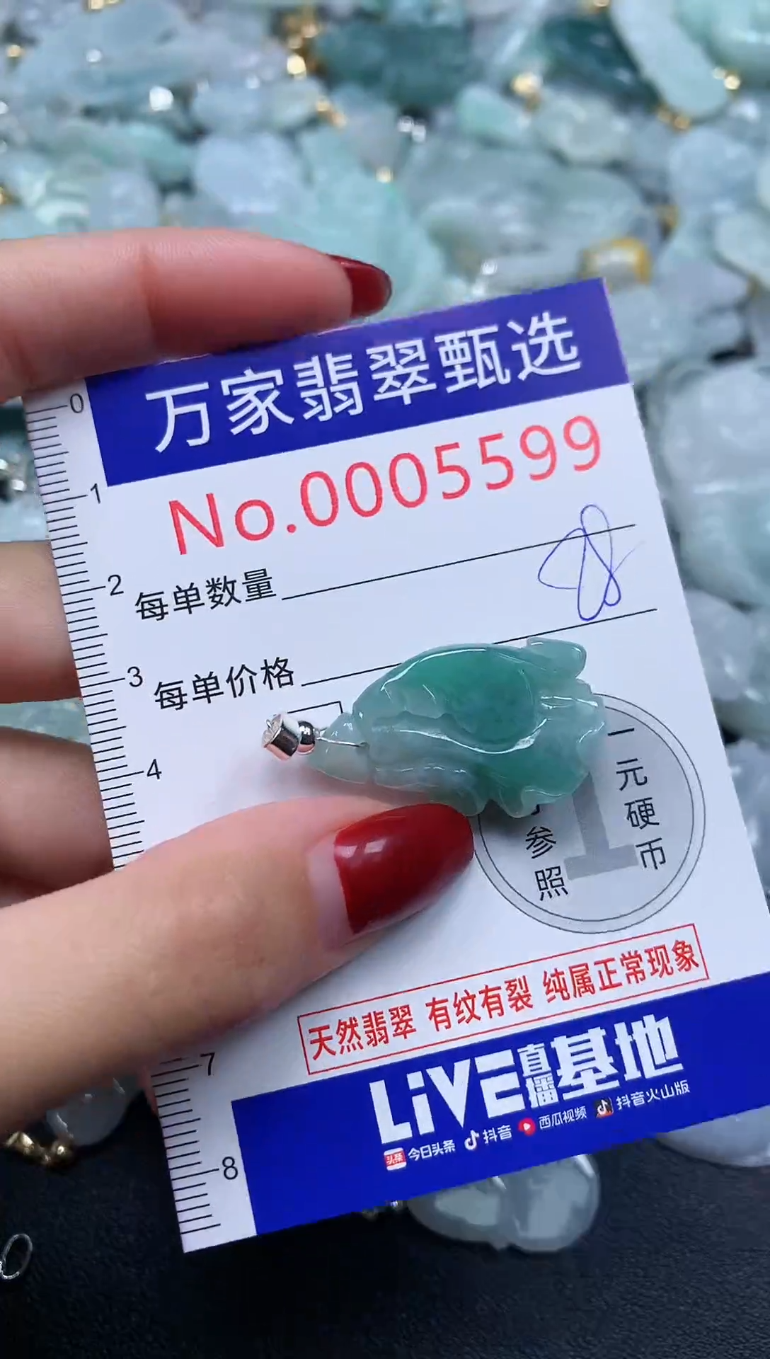 颈饰未镶嵌翡翠5599