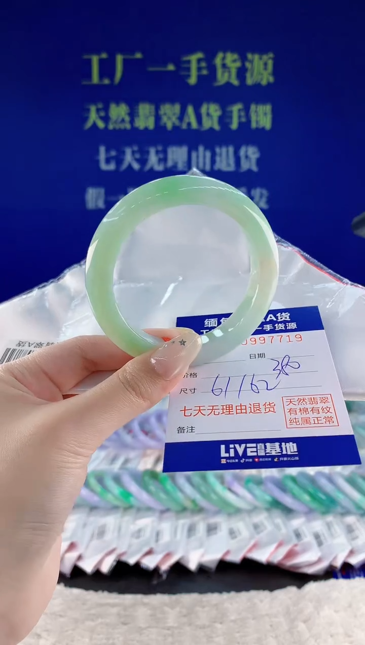 未镶嵌手镯翡翠19