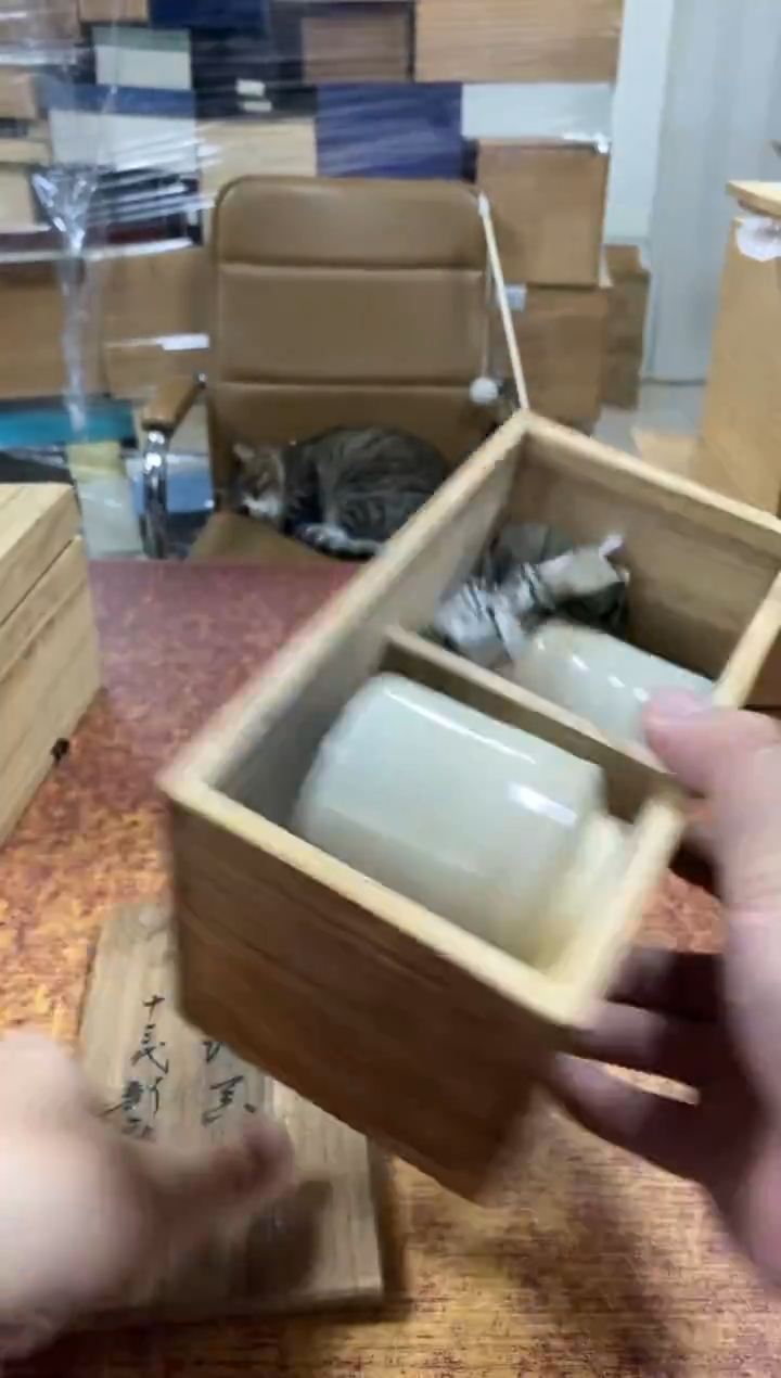 瓷片287小林轩欢迎您