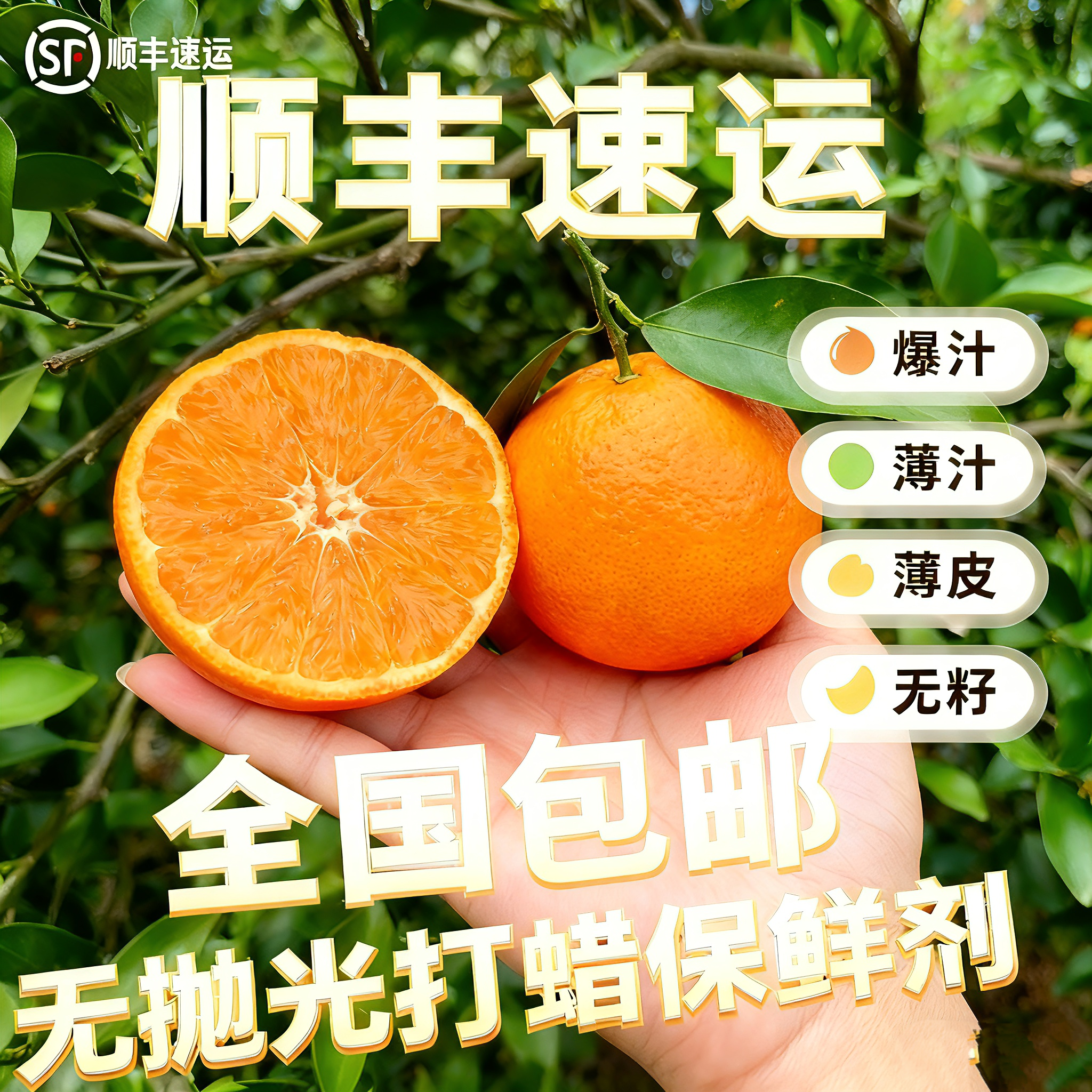 【顺丰】象山红美人爱媛28号新鲜水果自家的棚现摘现发次日达